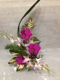 nos plantes (4)