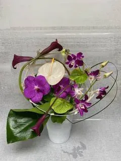 nos plantes (3)