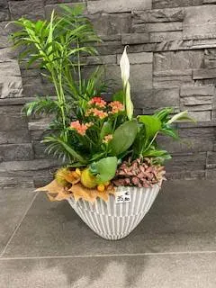 nos plantes (21)