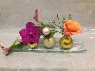 nos plantes (19)