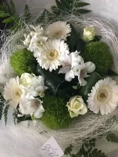 nos plantes (14)